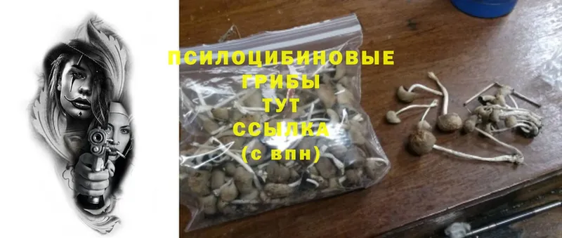 это формула  наркота  Анадырь  Галлюциногенные грибы Psilocybine cubensis 